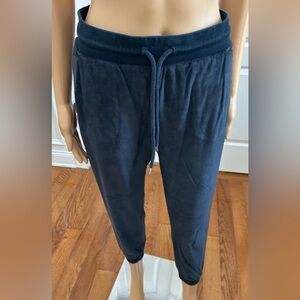 GAP Midnight Blue velour jogger pants